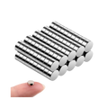Willy's Small Magnet 8pk